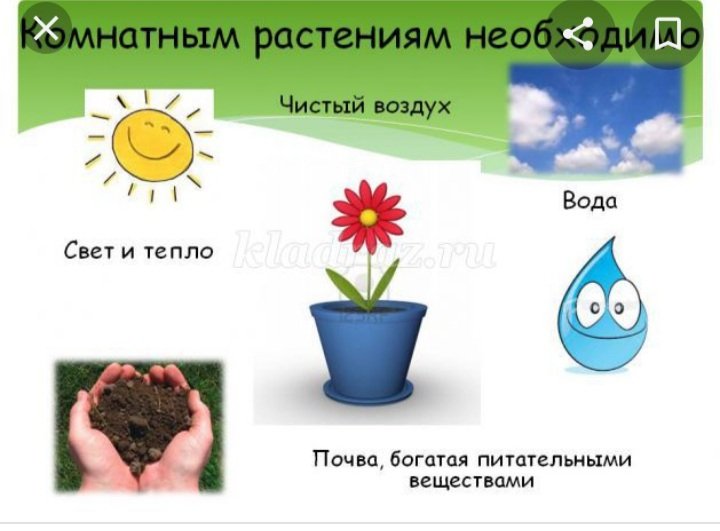 Аққұбамен лифттегі ақылсыз секс Анальды порно жинақты қараңыз